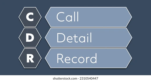 Read more about the article What is CDR Data?
